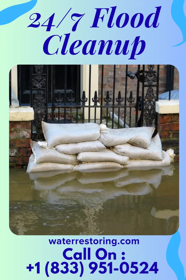 24/7 Flood Cleanup in Chilo, OH