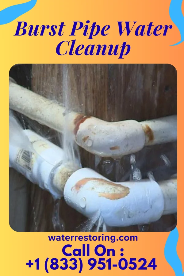 Burst Pipe Water Cleanup in Chilo, OH
