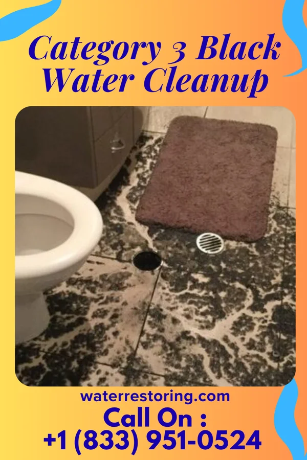 Category 3 Black Water Cleanup in Chilo, OH