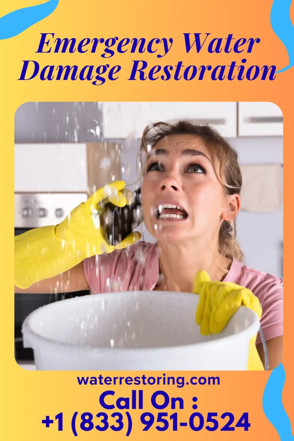 Emergency Water Damage Restoration in Chilo, OH