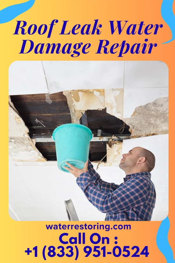 Roof Leak Water Damage Repair in Chilo, OH
