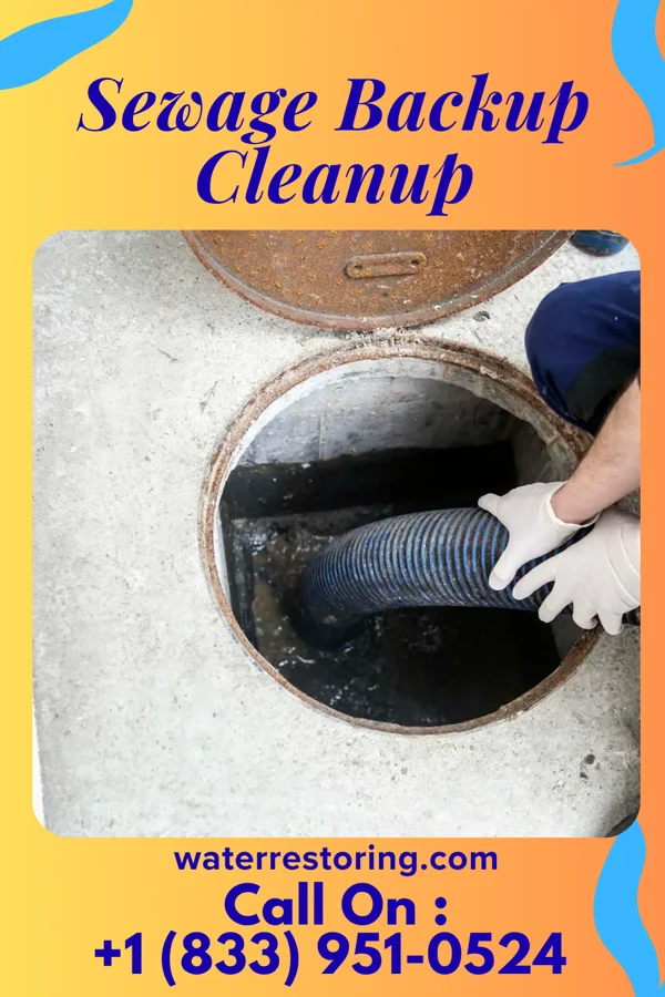 Sewage Backup Cleanup in Chilo, OH